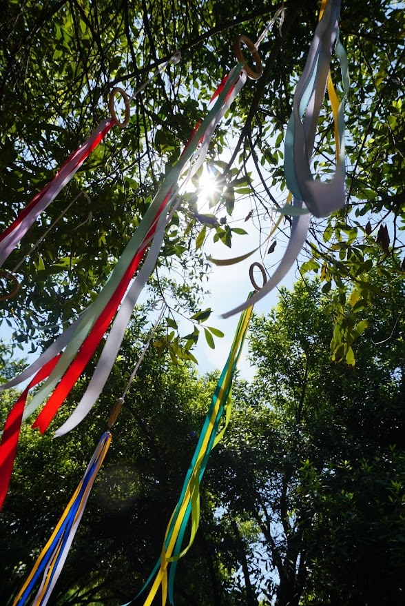 Sinfonia di Marzo nella pedagogia steineriana, raggio di Sole e sposa dei fiori che evocano rinascita, luce e forze primaverili nell’anima dei bambini
